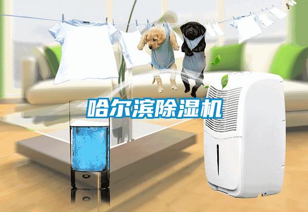 哈爾濱除濕機(jī)
