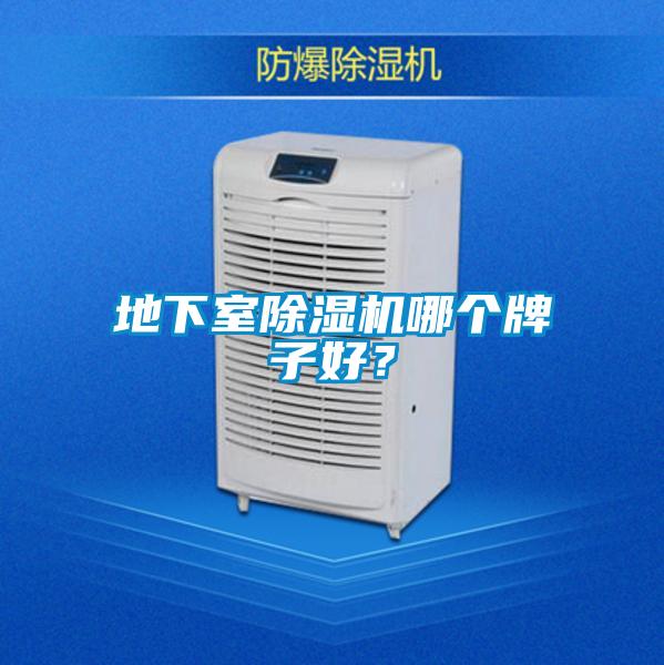 地下室除濕機哪個牌子好？