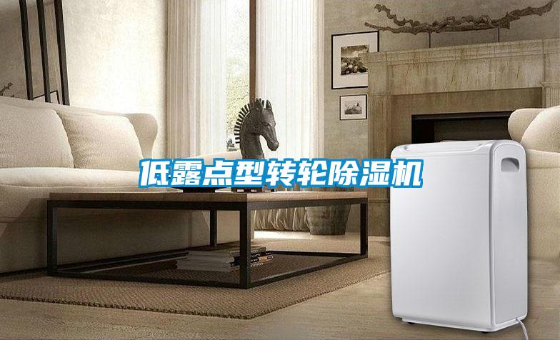 低露點(diǎn)型轉(zhuǎn)輪除濕機(jī)