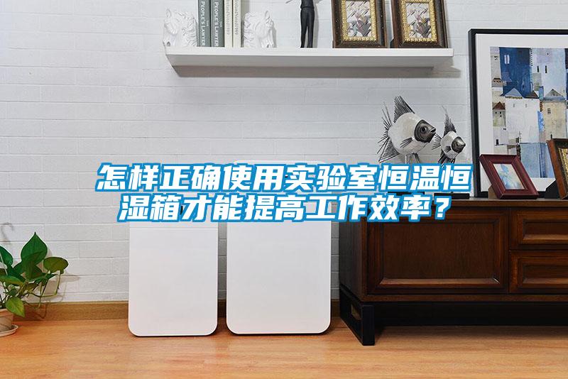 怎樣正確使用實(shí)驗(yàn)室恒溫恒濕箱才能提高工作效率？
