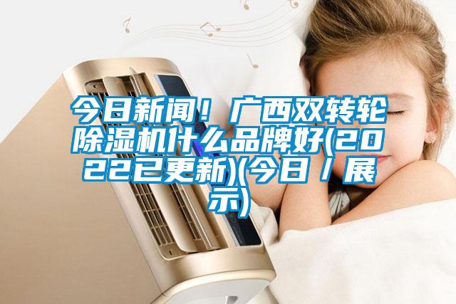 今日新聞！廣西雙轉(zhuǎn)輪除濕機(jī)什么品牌好(2022已更新)(今日／展示)