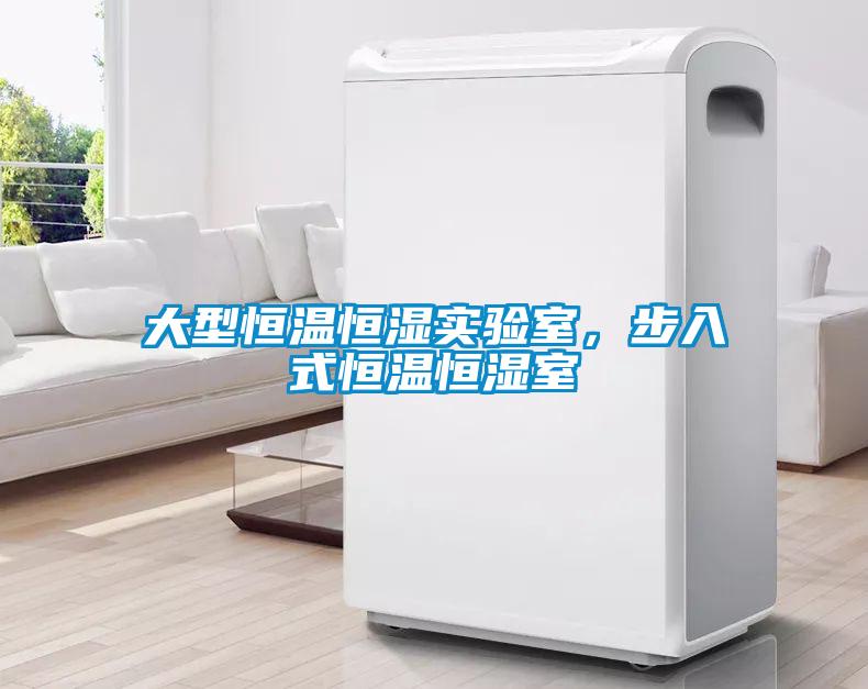大型恒溫恒濕實(shí)驗(yàn)室，步入式恒溫恒濕室