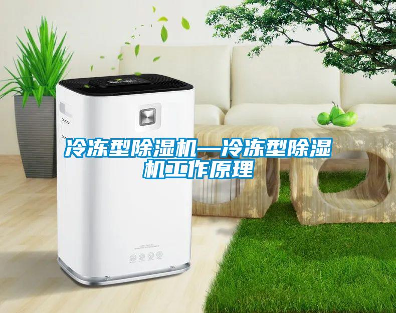 冷凍型除濕機(jī)—冷凍型除濕機(jī)工作原理