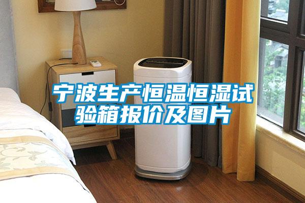 寧波生產(chǎn)恒溫恒濕試驗(yàn)箱報(bào)價(jià)及圖片