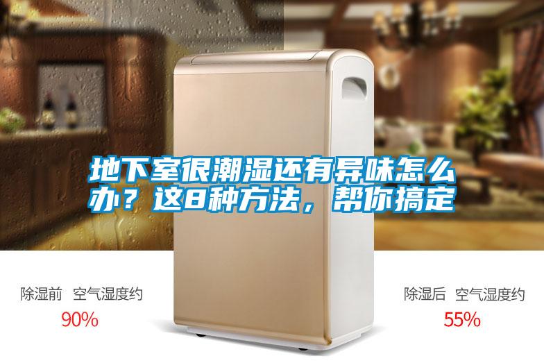 地下室很潮濕還有異味怎么辦？這8種方法，幫你搞定