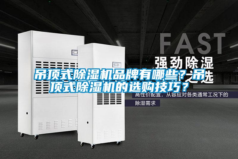 吊頂式除濕機品牌有哪些？吊頂式除濕機的選購技巧？