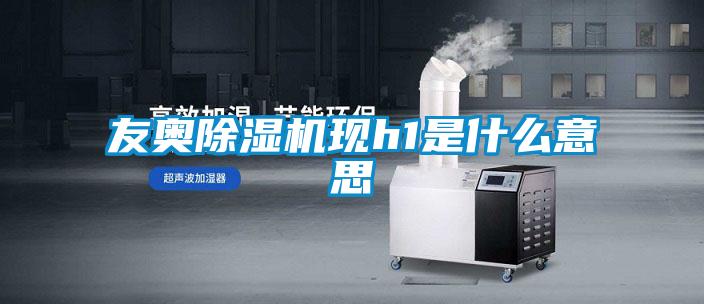 友奧除濕機(jī)現(xiàn)h1是什么意思