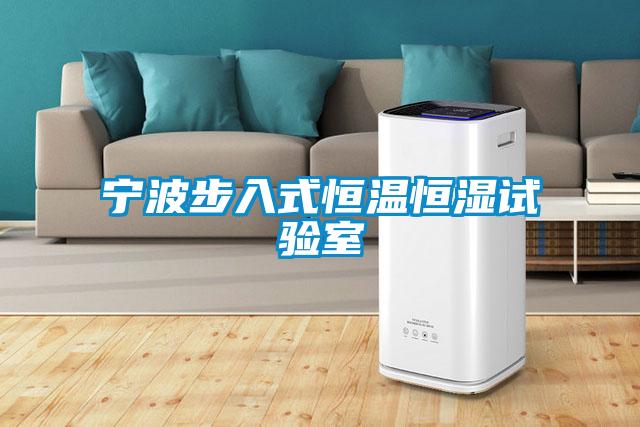 寧波步入式恒溫恒濕試驗室