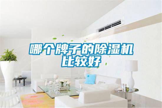 哪個牌子的除濕機(jī)比較好