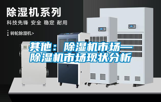 其他：除濕機市場—除濕機市場現(xiàn)狀分析