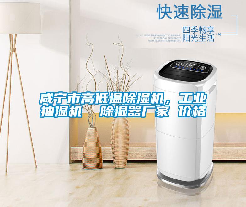 咸寧市高低溫除濕機，工業(yè)抽濕機  除濕器廠家 價格