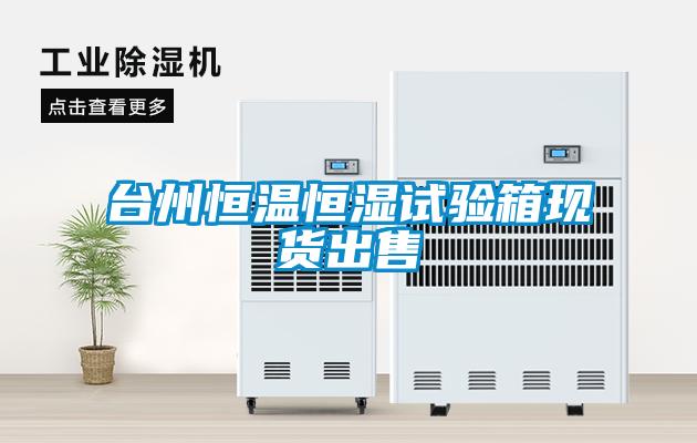 臺州恒溫恒濕試驗箱現(xiàn)貨出售