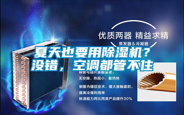 夏天也要用除濕機(jī)？沒錯(cuò)，空調(diào)都管不住