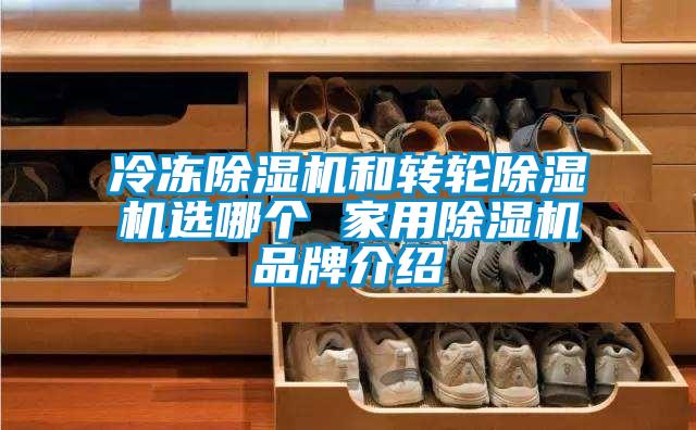 冷凍除濕機(jī)和轉(zhuǎn)輪除濕機(jī)選哪個 家用除濕機(jī)品牌介紹