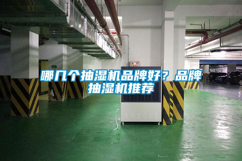 哪幾個抽濕機品牌好？品牌抽濕機推薦