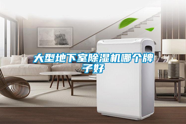 大型地下室除濕機哪個牌子好