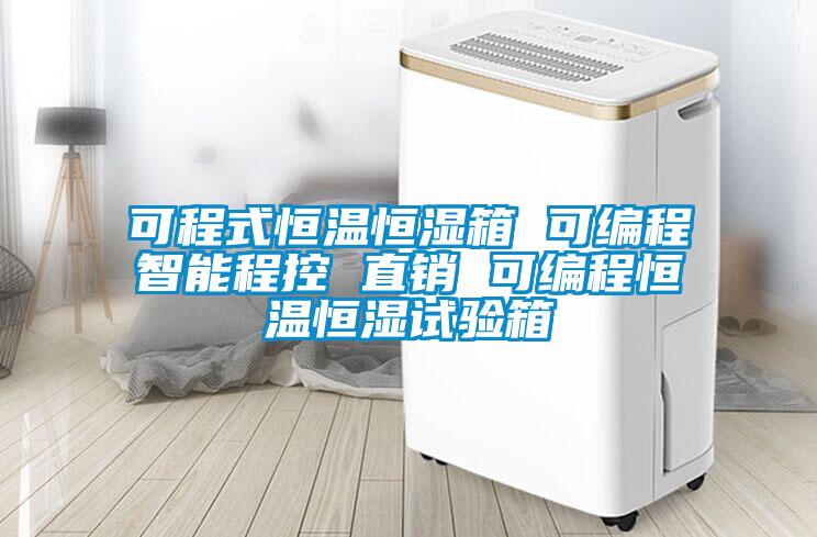可程式恒溫恒濕箱 可編程智能程控 直銷 可編程恒溫恒濕試驗(yàn)箱