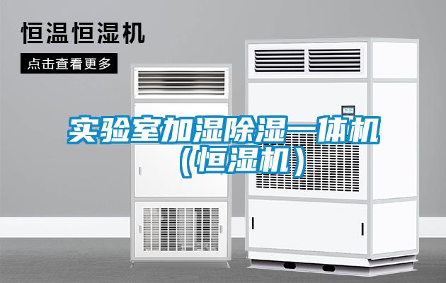 實驗室加濕除濕一體機（恒濕機）