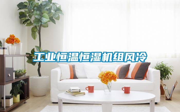 工業(yè)恒溫恒濕機組風(fēng)冷