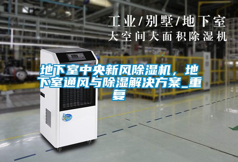 地下室中央新風(fēng)除濕機，地下室通風(fēng)與除濕解決方案_重復(fù)
