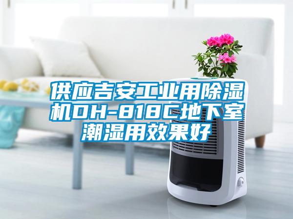 供應(yīng)吉安工業(yè)用除濕機DH-818C地下室潮濕用效果好