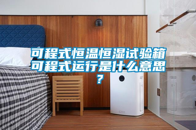 可程式恒溫恒濕試驗(yàn)箱可程式運(yùn)行是什么意思？