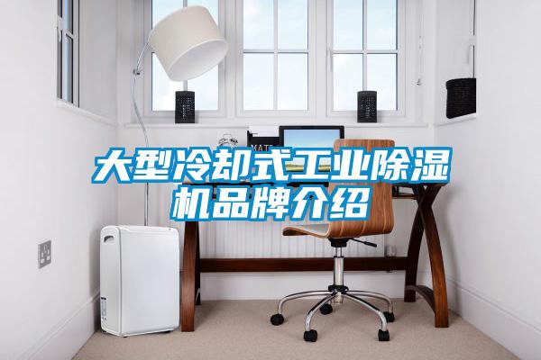 大型冷卻式工業(yè)除濕機(jī)品牌介紹