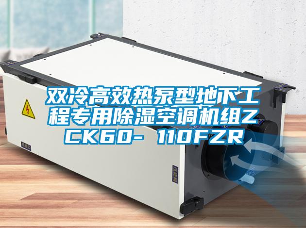 雙冷高效熱泵型地下工程專用除濕空調(diào)機(jī)組ZCK60- 110FZR