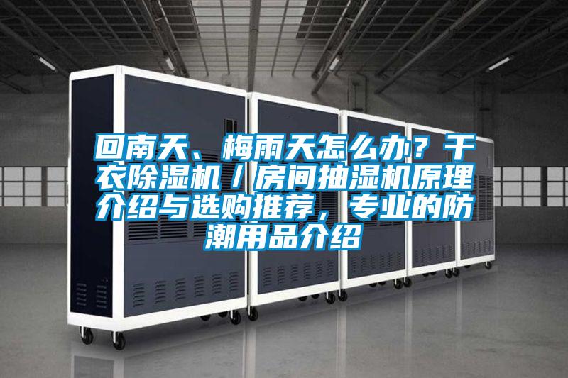 回南天、梅雨天怎么辦？干衣除濕機(jī)／房間抽濕機(jī)原理介紹與選購?fù)扑]，專業(yè)的防潮用品介紹