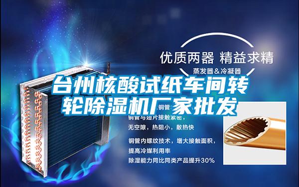 臺州核酸試紙車間轉(zhuǎn)輪除濕機(jī)廠家批發(fā)