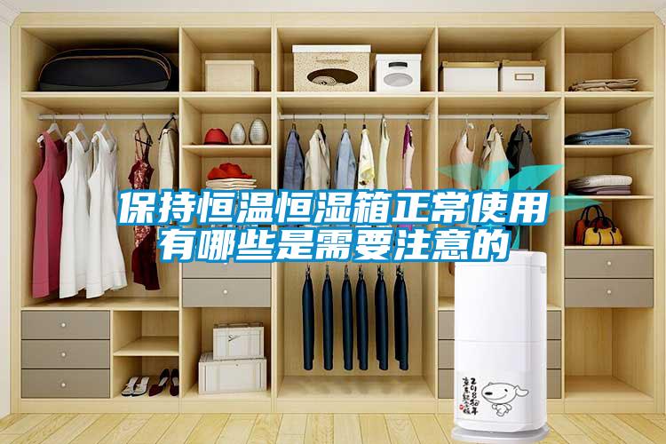 保持恒溫恒濕箱正常使用有哪些是需要注意的