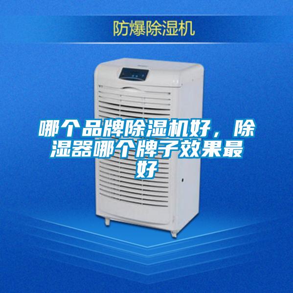 哪個(gè)品牌除濕機(jī)好，除濕器哪個(gè)牌子效果最好