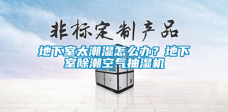 地下室太潮濕怎么辦？地下室除潮空氣抽濕機(jī)