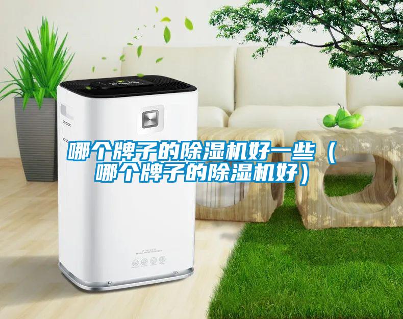 哪個牌子的除濕機(jī)好一些（哪個牌子的除濕機(jī)好）