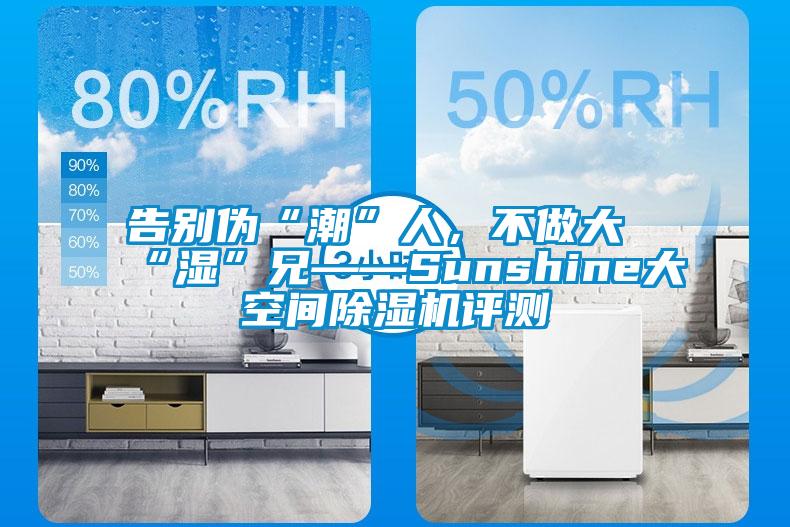 告別偽“潮”人，不做大“濕”兄——Sunshine大空間除濕機(jī)評(píng)測(cè)