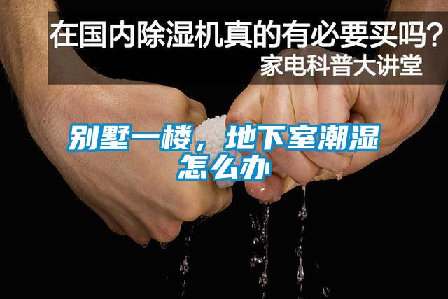 別墅一樓，地下室潮濕怎么辦
