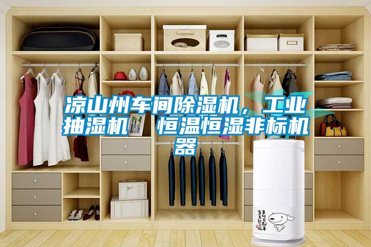 涼山州車間除濕機，工業(yè)抽濕機  恒溫恒濕非標機器