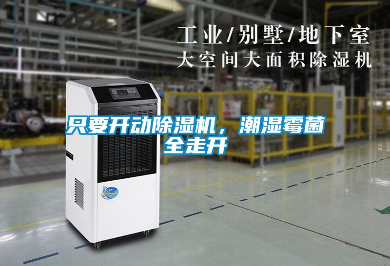 只要開動除濕機，潮濕霉菌全走開
