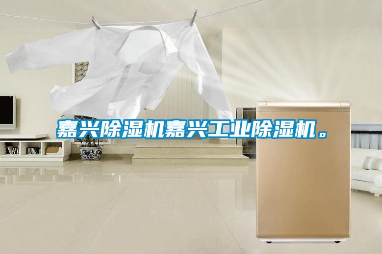 嘉興除濕機(jī)嘉興工業(yè)除濕機(jī)。