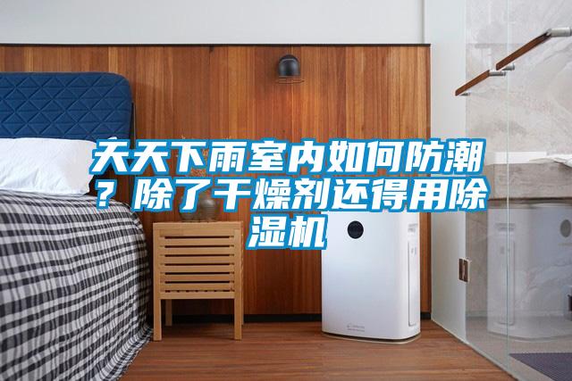 天天下雨室內(nèi)如何防潮？除了干燥劑還得用除濕機(jī)