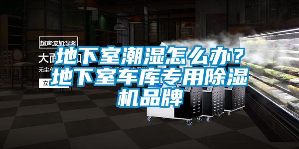地下室潮濕怎么辦？地下室車庫專用除濕機(jī)品牌