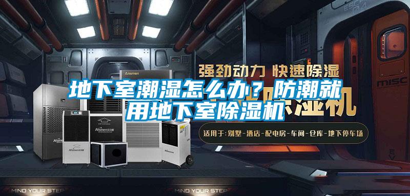 地下室潮濕怎么辦？防潮就用地下室除濕機(jī)