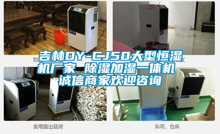 吉林DY-CJ50大型恒濕機廠家 除濕加濕一體機 誠信商家歡迎咨詢