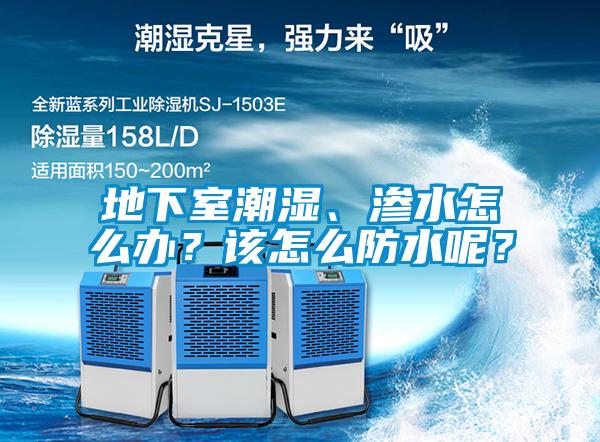 地下室潮濕、滲水怎么辦？該怎么防水呢？