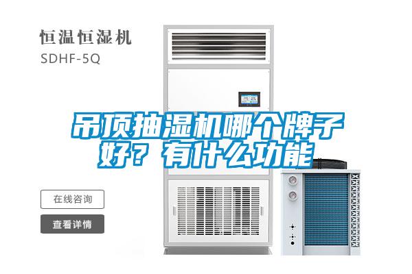 吊頂抽濕機哪個牌子好？有什么功能