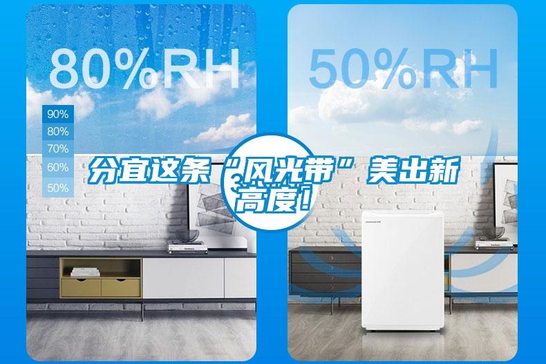 分宜這條“風光帶”美出新高度！