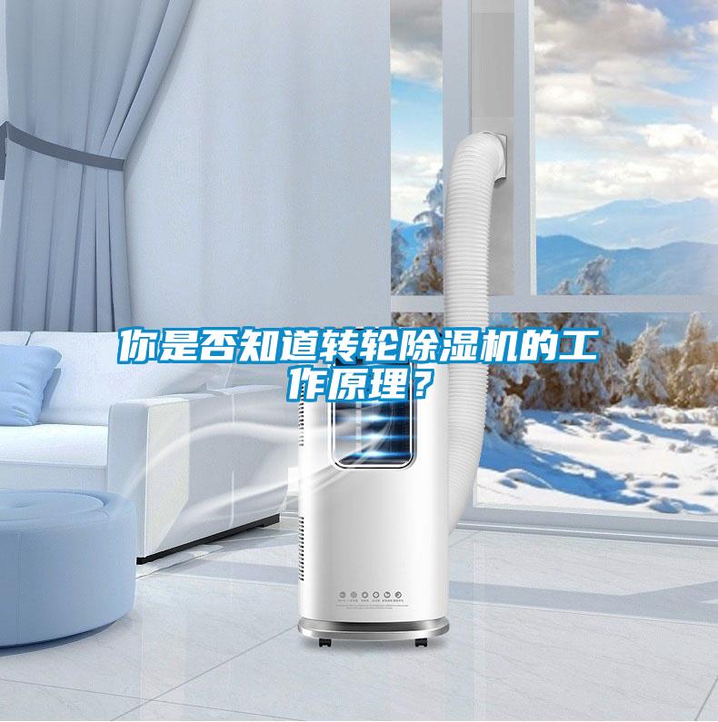 你是否知道轉(zhuǎn)輪除濕機(jī)的工作原理？