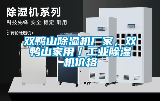 雙鴨山除濕機(jī)廠家，雙鴨山家用／工業(yè)除濕機(jī)價(jià)格