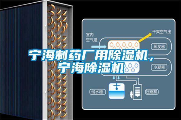 寧海制藥廠用除濕機，寧海除濕機