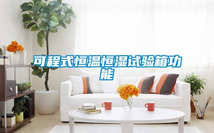 可程式恒溫恒濕試驗(yàn)箱功能